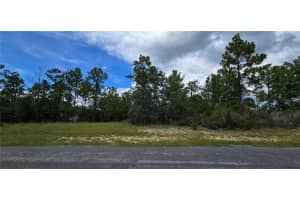 2899 SANTANA DRIVE, CITRUS SPRINGS, FL 34433 - MLS#MFRW7878282