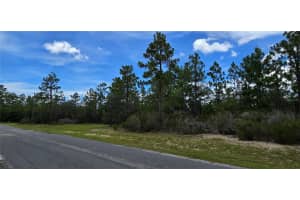 2899 SANTANA DRIVE, CITRUS SPRINGS, FL 34433 - MLS#MFRW7878282