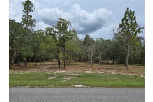 12098 LARK SPARROW ROAD, BROOKSVILLE, FL 34614 - MLS#MFRW7878303