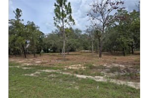 12098 LARK SPARROW ROAD, BROOKSVILLE, FL 34614 - MLS#MFRW7878303