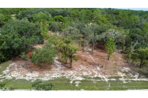 12098 LARK SPARROW ROAD, BROOKSVILLE, FL 34614 - MLS#MFRW7878303