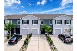 16196 Traditional Bluff Pl, ODESSA