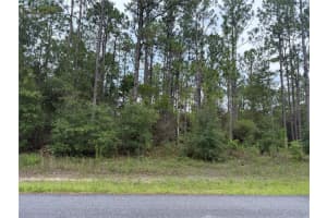 1675 DONNER DRIVE, CITRUS SPRINGS, FL 34434 - MLS#MFRW7878402