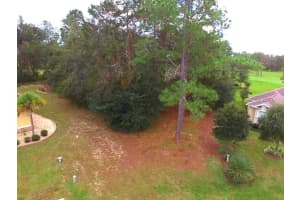 17 WOODLEE COURT, HOMOSASSA, FL 34446 - MLS#MFRW7878419