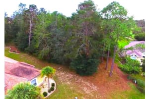 17 WOODLEE COURT, HOMOSASSA, FL 34446 - MLS#MFRW7878419