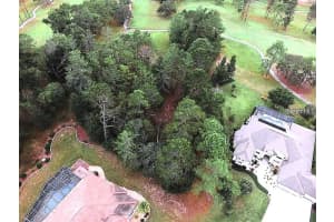 17 WOODLEE COURT, HOMOSASSA, FL 34446 - MLS#MFRW7878419