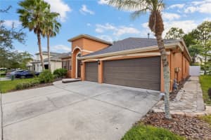 20036 Bluff Oak Blvd, TAMPA