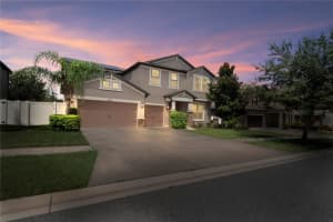 4514 Highfalls Dr, VALRICO