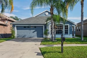 17349 Lawn Orchid Loop, LAND O LAKES