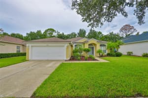 5717 Riva Ridge Dr, WESLEY CHAPEL