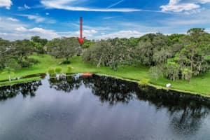 12504 STAGECOACH LANE, HUDSON, FL 34667 - MLS#MFRW7878508