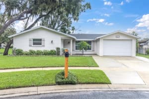 4336 Crestwood Blvd, NEW PORT RICHEY
