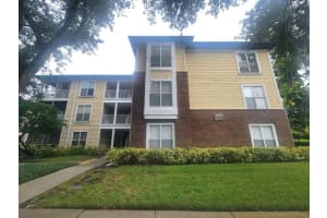 10020 Strafford Oak Ct #923, TAMPA