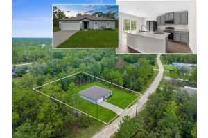 14247 EARLINE ROAD, BROOKSVILLE, FL 34614 - MLS#MFRW7878524