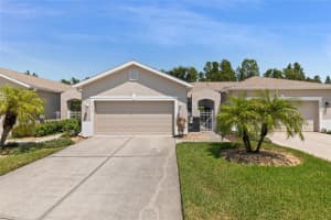 21336 Diamonte Dr, LAND O LAKES