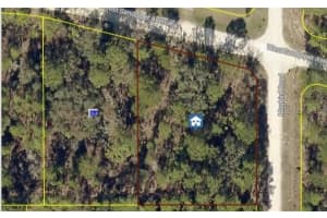 MALDEN RD, BROOKSVILLE, FL 34614 - MLS#MFRW7878580