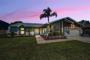 9525 Via Segovia, NEW PORT RICHEY