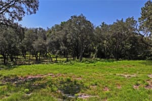 16900 AKIN, SPRING HILL, FL 34610 - MLS#MFRW7878602