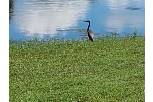 9142 COTSWALD WAY, NEW PORT RICHEY, FL 34655 - MLS#MFRW7878606