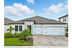 21554 Snowy Orchid Ter, LAND O LAKES