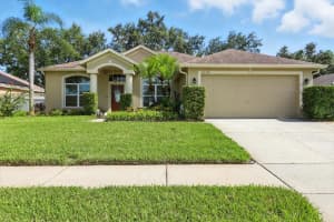 22330 Willow Lakes Dr, LUTZ