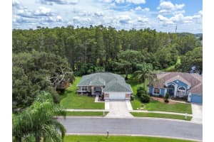 9308 BEARCAT ROAD, NEW PORT RICHEY, FL 34655 - MLS#MFRW7878703