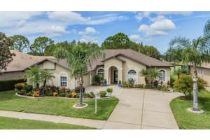 1634 WINDING WILLOW DRIVE, TRINITY, FL 34655 - MLS#MFRW7878713