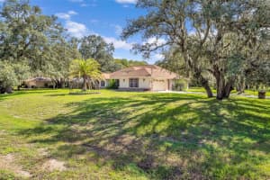 18720 OAK WAY DRIVE, HUDSON, FL 34667 - MLS#MFRW7878727