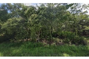 0 COCKATOO ROAD, BROOKSVILLE, FL 34613 - MLS#MFRW7878730