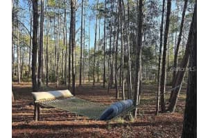 10261 WOODLAND WATERS BOULEVARD, WEEKI WACHEE, FL 34613 - MLS#MFRW7878741