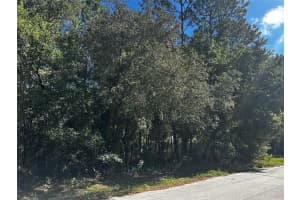 3301 ANDERSON STREET, INVERNESS, FL 34453 Sold 10/02/25