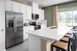 20273 LOU ANGELA LANE, LUTZ, FL 33558 - MLS#MFRW7878759