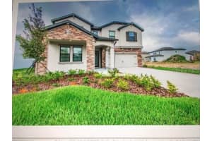 31046 PARROT REEF COURT, WESLEY CHAPEL, FL 33545 - MLS#MFRW7878762