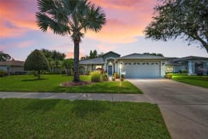 1311 EVENINGSIDE COURT, TRINITY, FL 34655 - MLS#MFRW7878785
