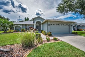 1311 EVENINGSIDE COURT, TRINITY, FL 34655 - MLS#MFRW7878785