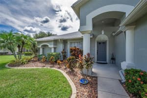 1311 EVENINGSIDE COURT, TRINITY, FL 34655 - MLS#MFRW7878785