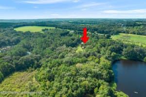 26021 PUMPKIN PATH, BROOKSVILLE, FL 34602 - MLS#MFRW7878789