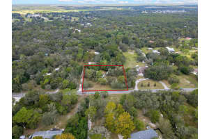 12403 KITTEN TRAIL, HUDSON, FL 34669 - MLS#MFRW7878802