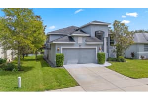 1072 POINTE ALEXIS DRIVE, TARPON SPRINGS, FL 34689 - MLS#MFRW7878803