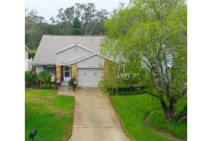11719 Rose Tree Dr, NEW PORT RICHEY