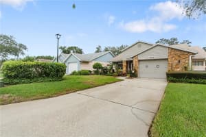 11719 ROSE TREE DRIVE, NEW PORT RICHEY, FL 34654 - MLS#MFRW7878810