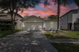 18337 SNOWDONIA DRIVE, LAND O LAKES, FL 34638 - MLS#MFRW7878817