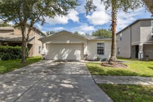 18337 SNOWDONIA DRIVE, LAND O LAKES, FL 34638 - MLS#MFRW7878817