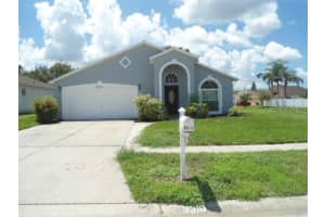 3310 Castle Rock Cir, LAND O LAKES