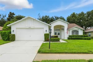 11213 BROOKLAWN DRIVE, HUDSON, FL 34667 - MLS#MFRW7878824