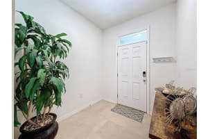 16196 TRADITIONAL BLUFF PLACE, ODESSA, FL 33556 - MLS#MFRW7878830