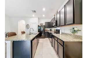 16196 TRADITIONAL BLUFF PLACE, ODESSA, FL 33556 - MLS#MFRW7878830