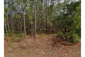 38 FRINGETREE STREET, HOMOSASSA, FL 34446 - MLS#MFRW7878880