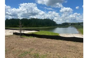 32226 ELDORADO CANYON LOOP, WESLEY CHAPEL, FL 33543 - MLS#MFRW7878886