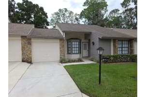 6645 Brambleleaf Dr, SPRING HILL